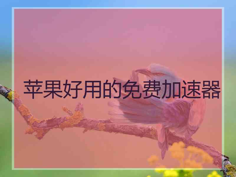 苹果好用的免费加速器