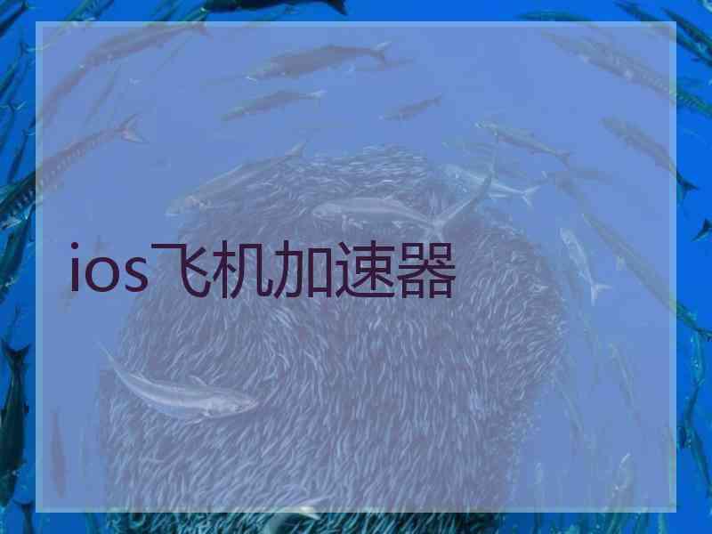 ios飞机加速器