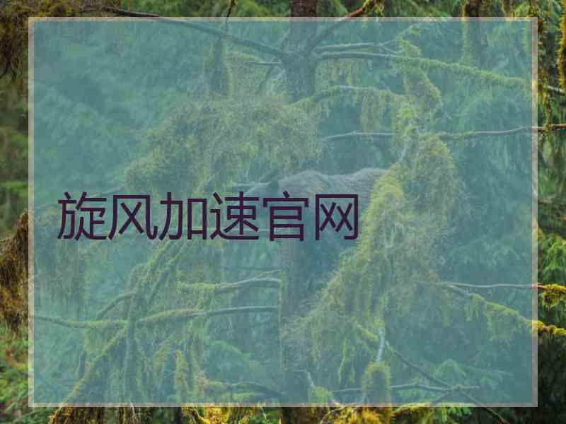 旋风加速官网