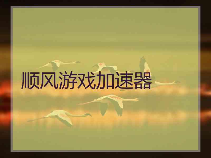 顺风游戏加速器