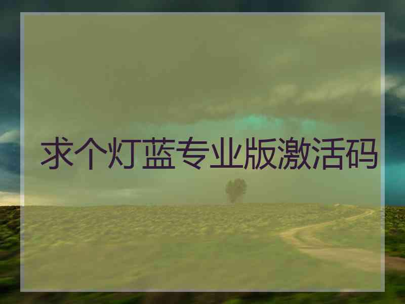 求个灯蓝专业版激活码