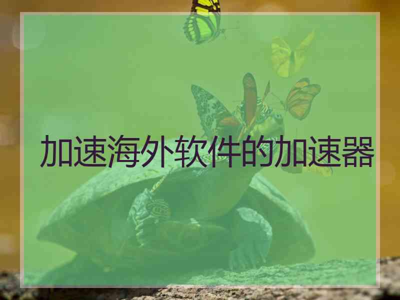 加速海外软件的加速器