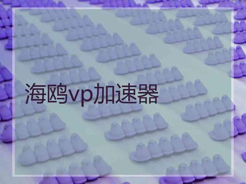 海鸥vp加速器