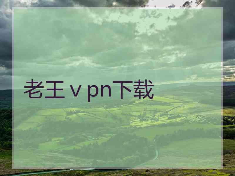 老王ⅴpn下载