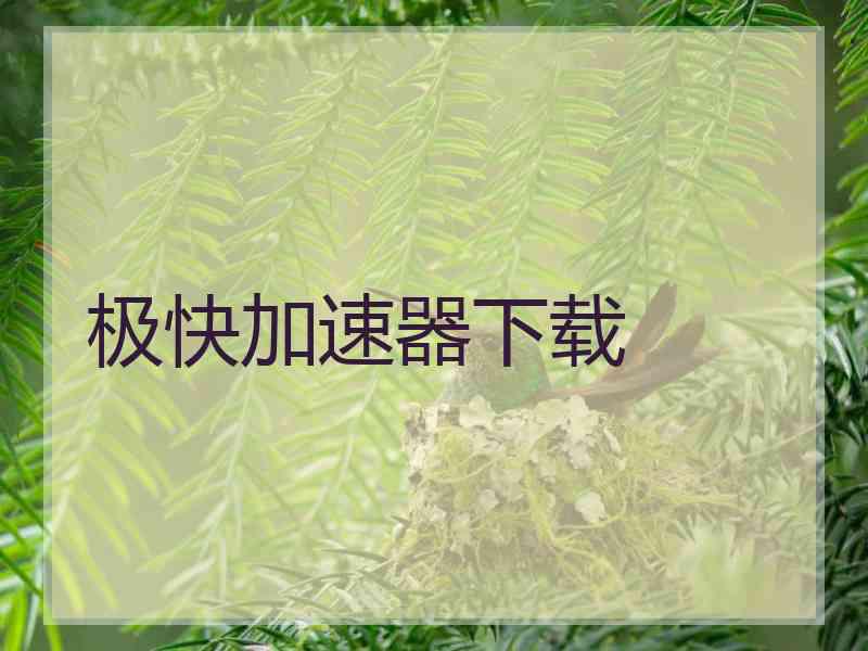 极快加速器下载