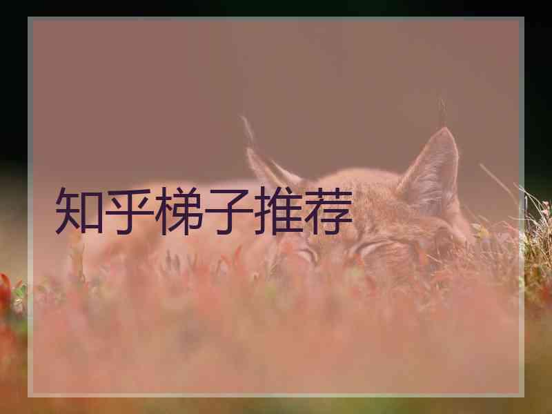 知乎梯子推荐