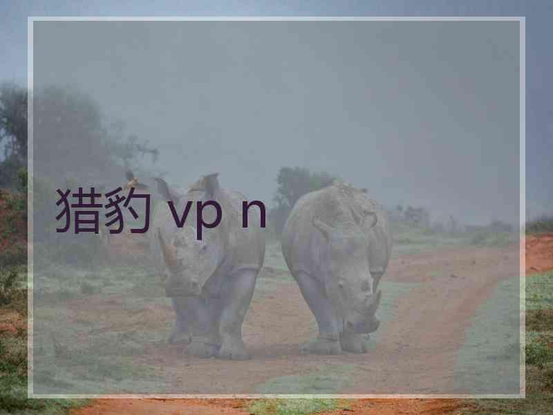 猎豹 vp n