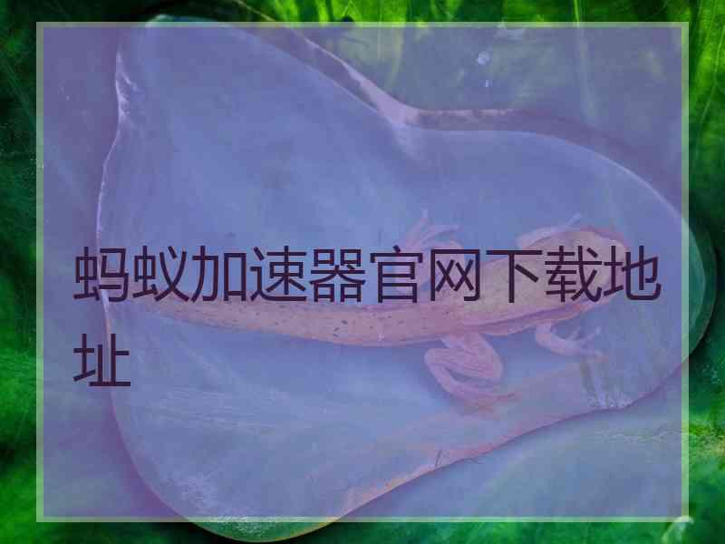 蚂蚁加速器官网下载地址