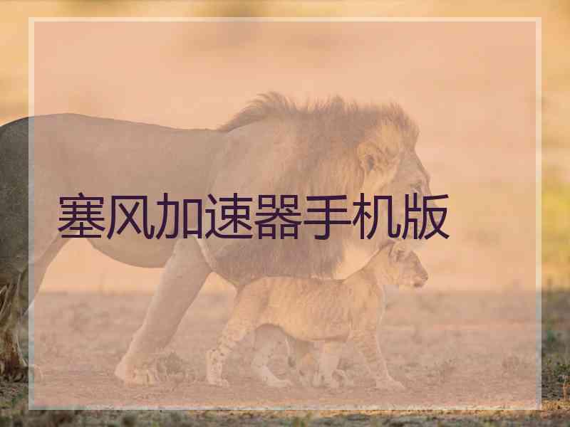 塞风加速器手机版