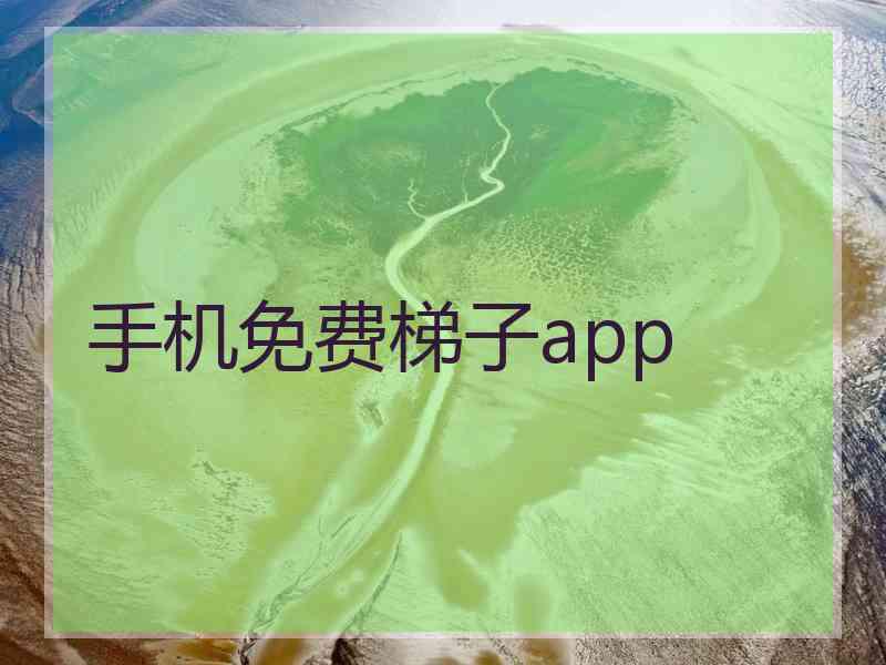 手机免费梯子app