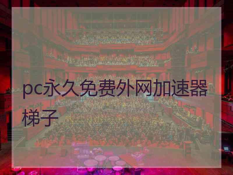 pc永久免费外网加速器梯子