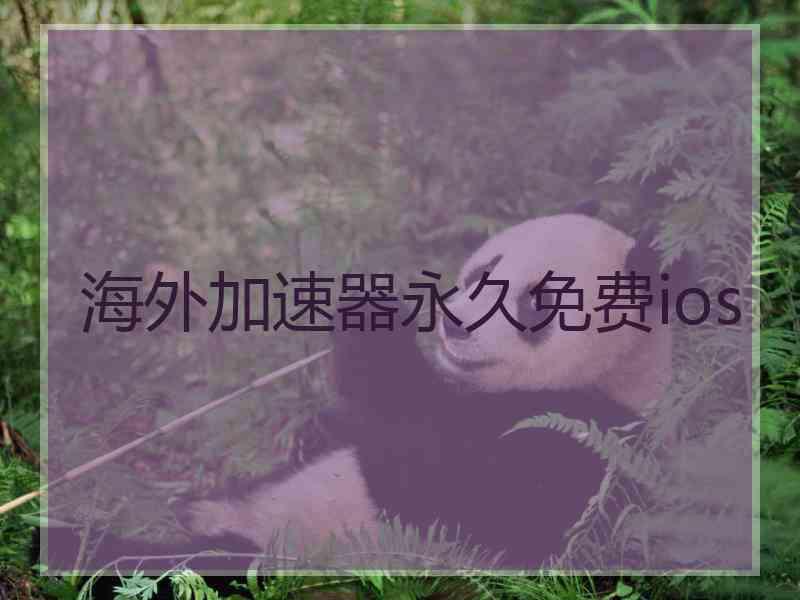 海外加速器永久免费ios