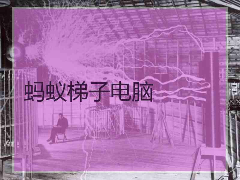 蚂蚁梯子电脑