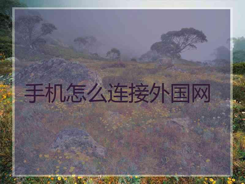 手机怎么连接外国网