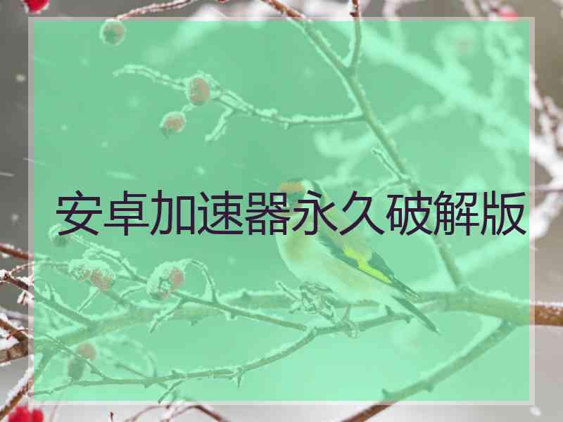 安卓加速器永久破解版
