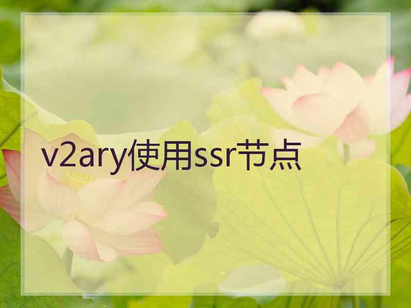 v2ary使用ssr节点