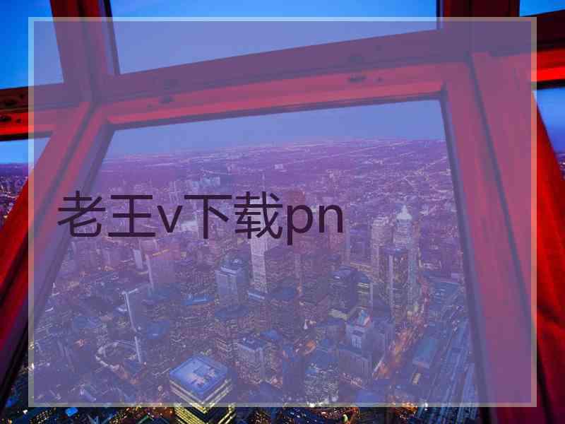 老王v下载pn