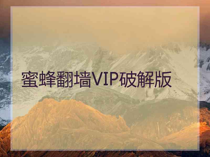 蜜蜂翻墙VIP破解版