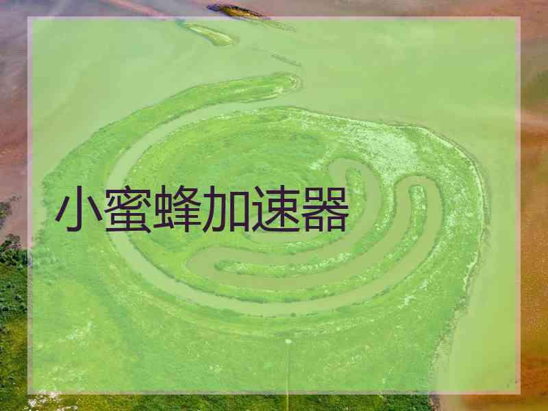 小蜜蜂加速器