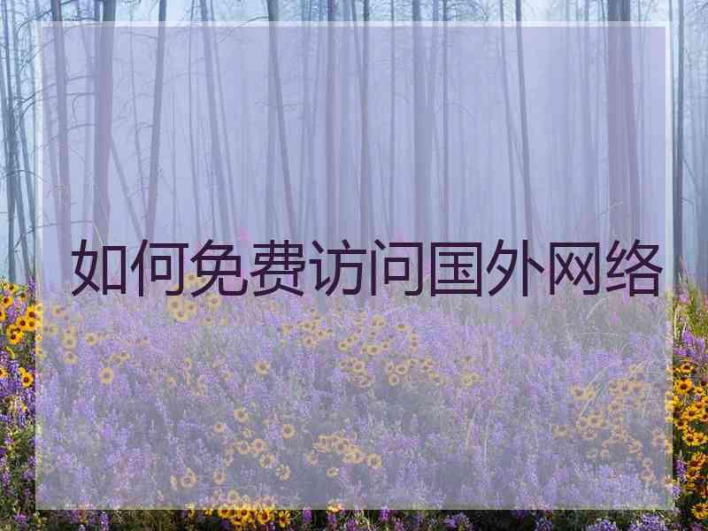 如何免费访问国外网络