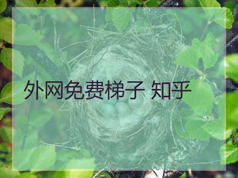 外网免费梯子 知乎