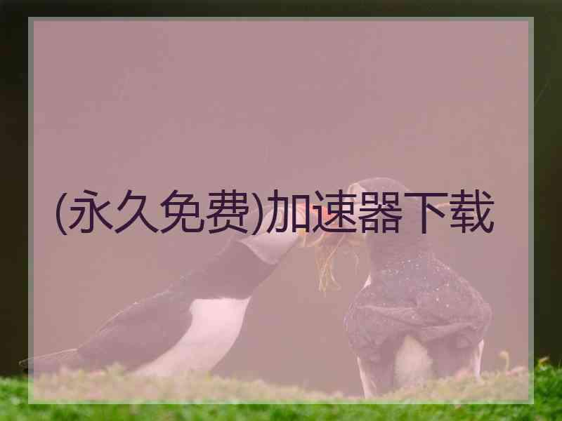 (永久免费)加速器下载