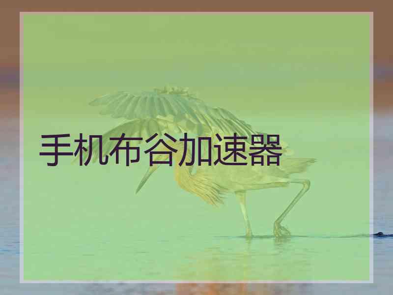 手机布谷加速器