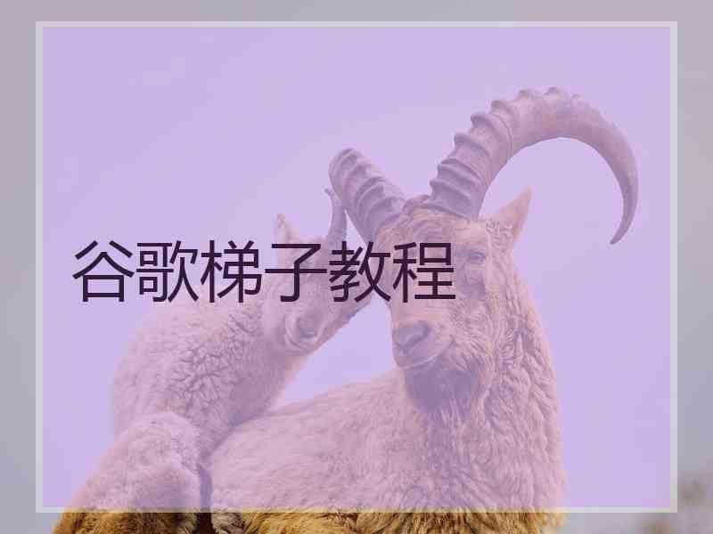 谷歌梯子教程