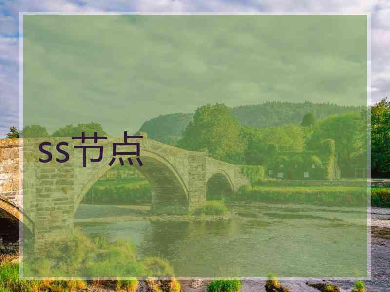 ss节点