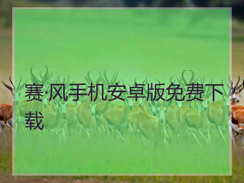 赛·风手机安卓版免费下载