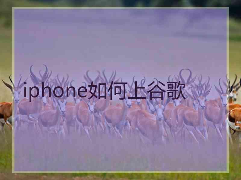 iphone如何上谷歌