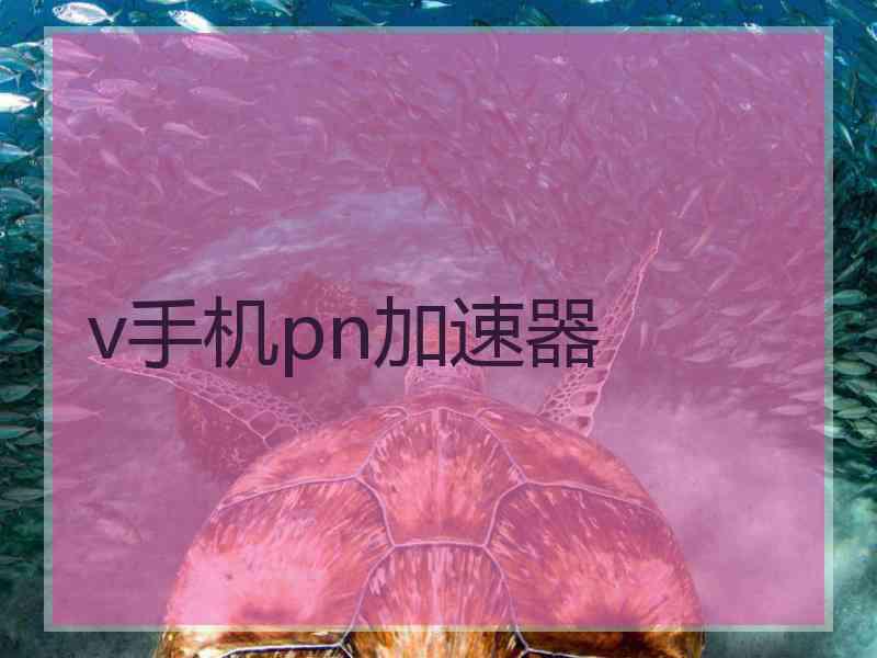 v手机pn加速器