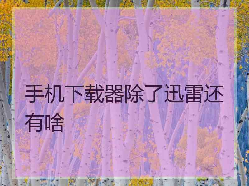 手机下载器除了迅雷还有啥