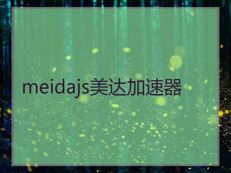 meidajs美达加速器