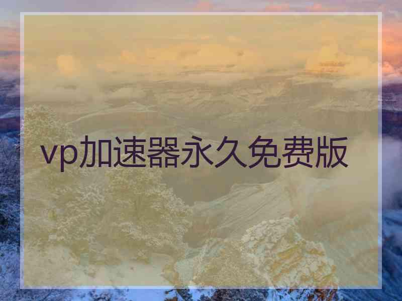 vp加速器永久免费版