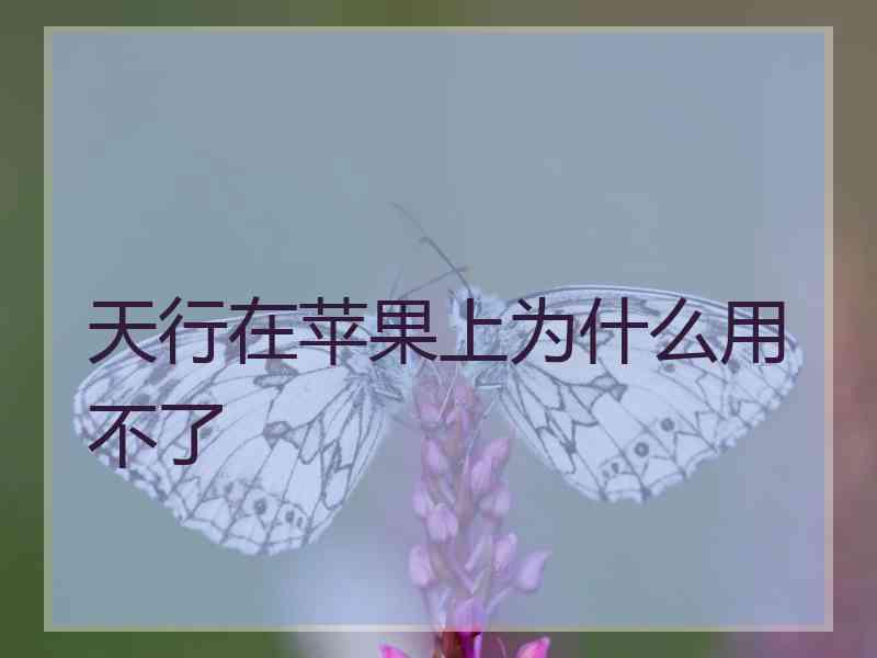 天行在苹果上为什么用不了