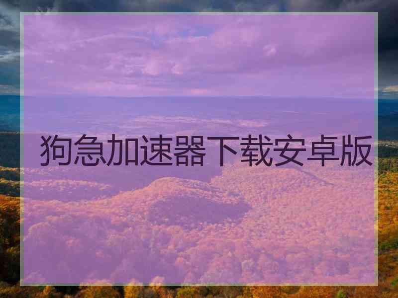 狗急加速器下载安卓版