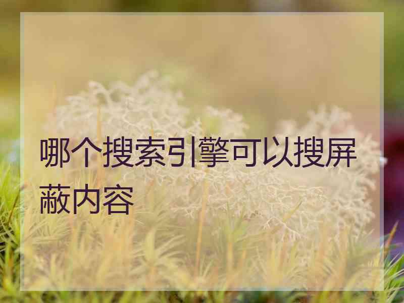 哪个搜索引擎可以搜屏蔽内容