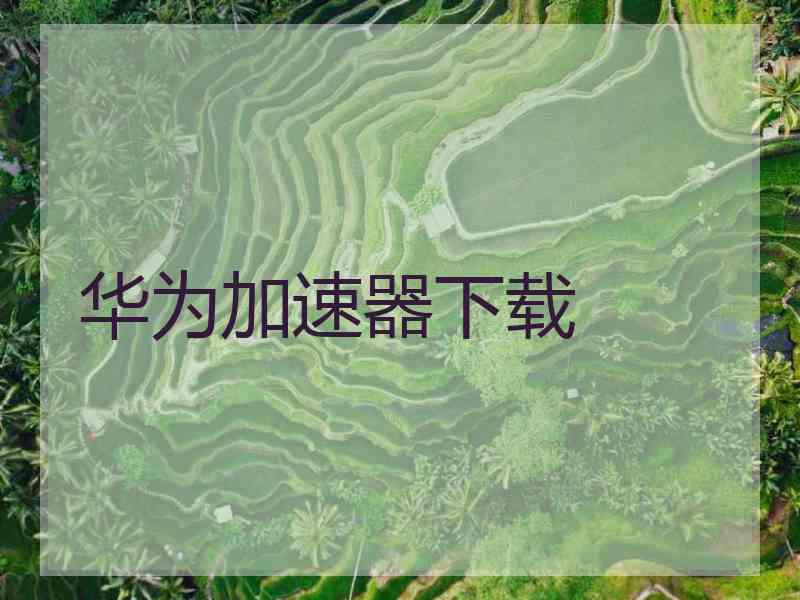 华为加速器下载