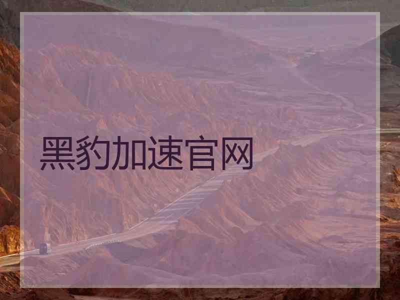 黑豹加速官网