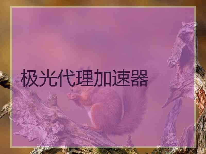 极光代理加速器