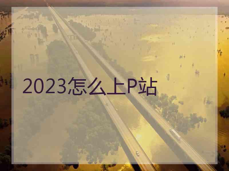 2023怎么上P站