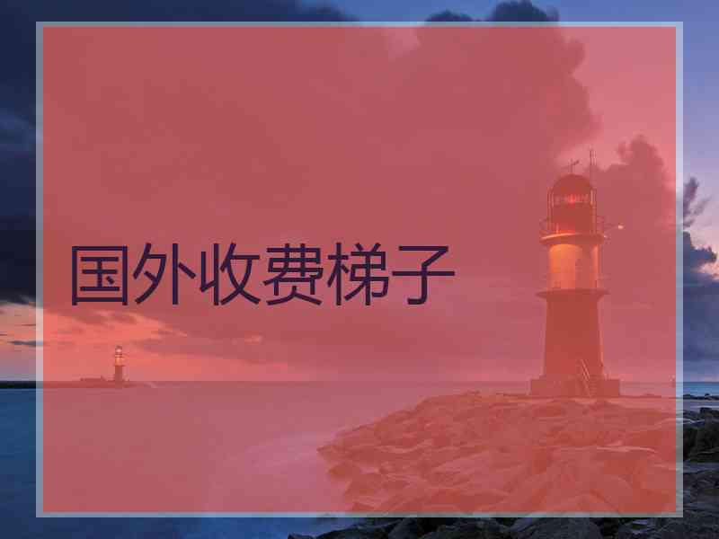国外收费梯子