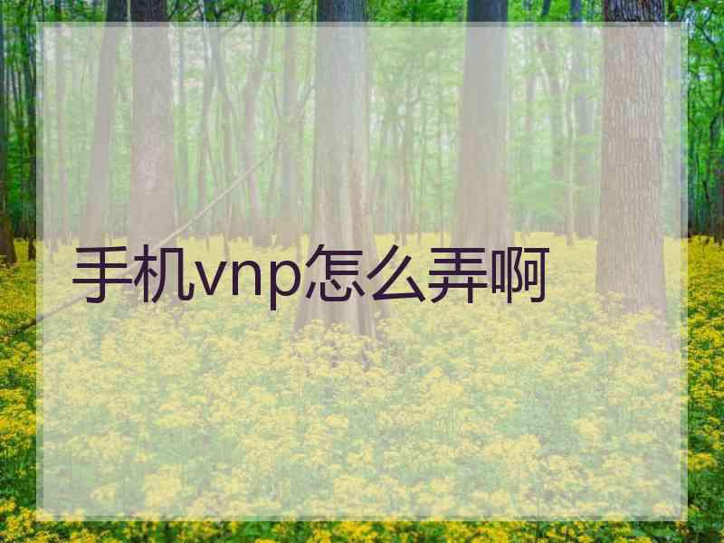 手机vnp怎么弄啊