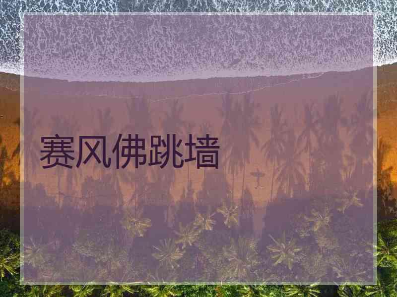 赛风佛跳墙