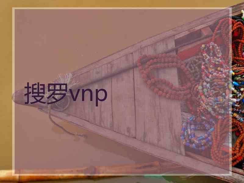搜罗vnp