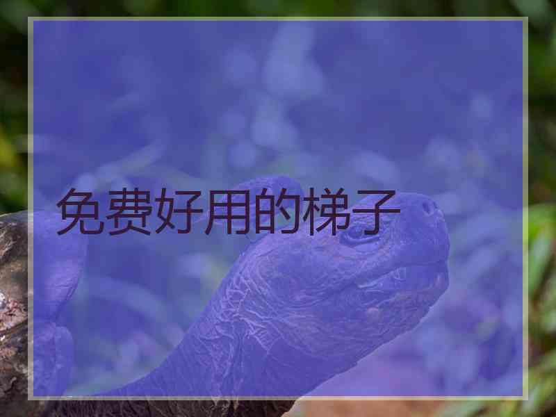 免费好用的梯子