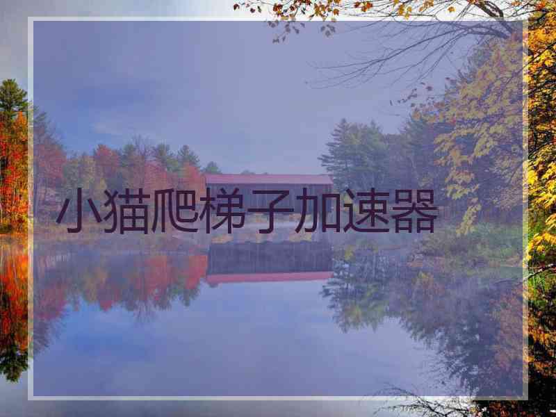 小猫爬梯子加速器