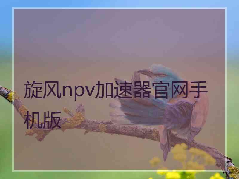 旋风npv加速器官网手机版