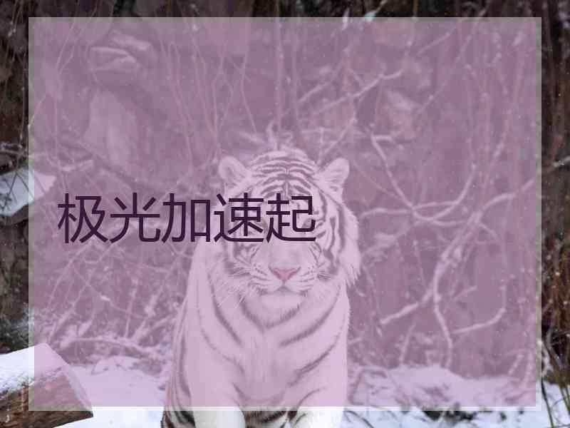极光加速起